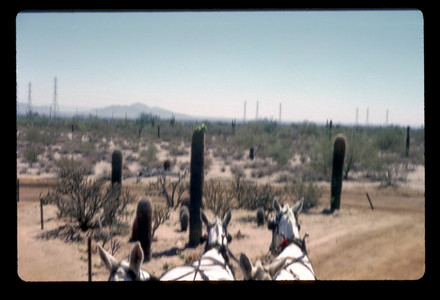 Slide017.jpg